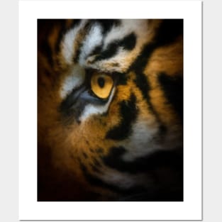 Tiger Face Posters and Art